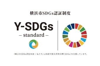 Y-SDGs